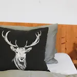 아파트 Alpenblick Vierbauch