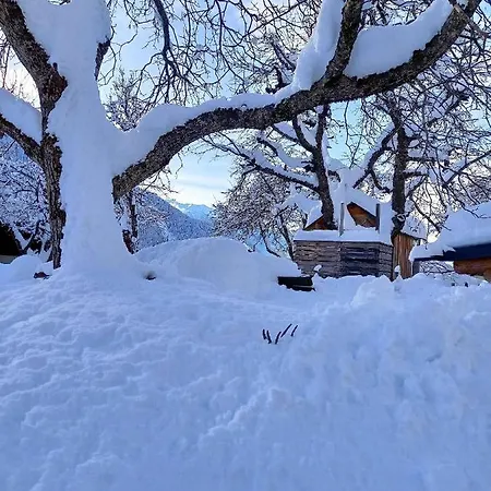 Alpenblick Vierbauch Flattach