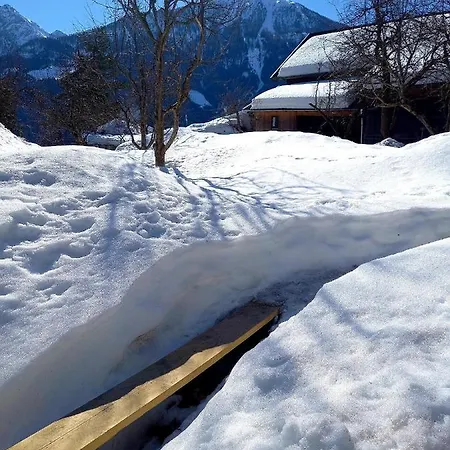 Alpenblick Vierbauch * Flattach