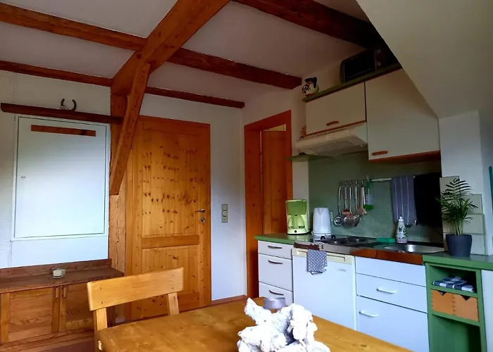 Alpenblick Vierbauch *