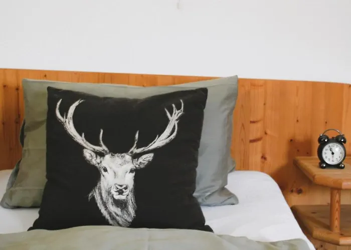 Daire Alpenblick Vierbauch