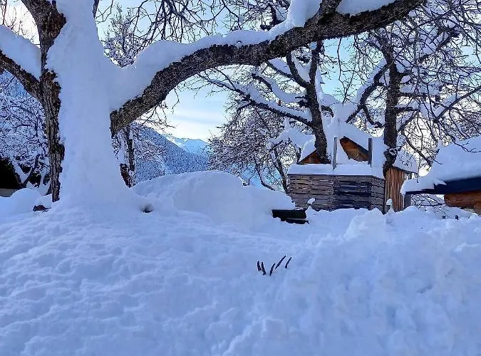 Alpenblick Vierbauch Flattach
