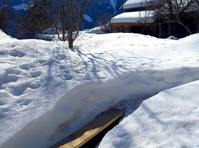 Alpenblick Vierbauch * Flattach