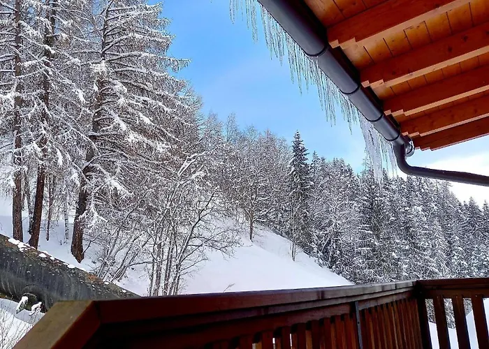 Apartment Alpenblick Vierbauch *